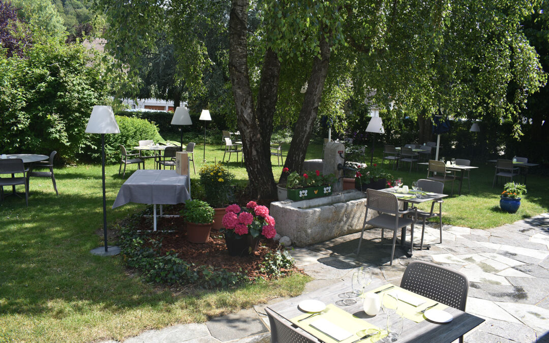 Notre terrasse ombragée